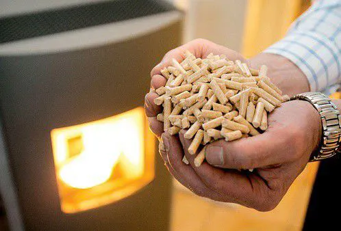 pellet